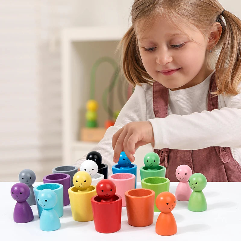 Montessori Color Sorting Toys