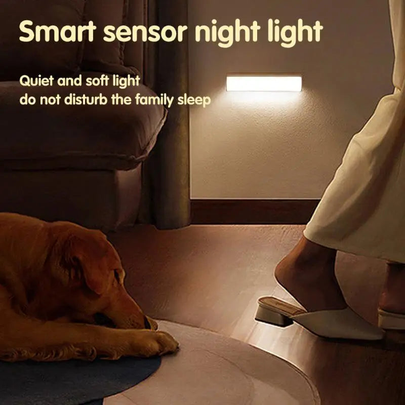 Motion Sensing Night Light LED